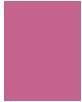 Image du produit NYX Professional Make-Up Epic Wear (19 Esprit rose)