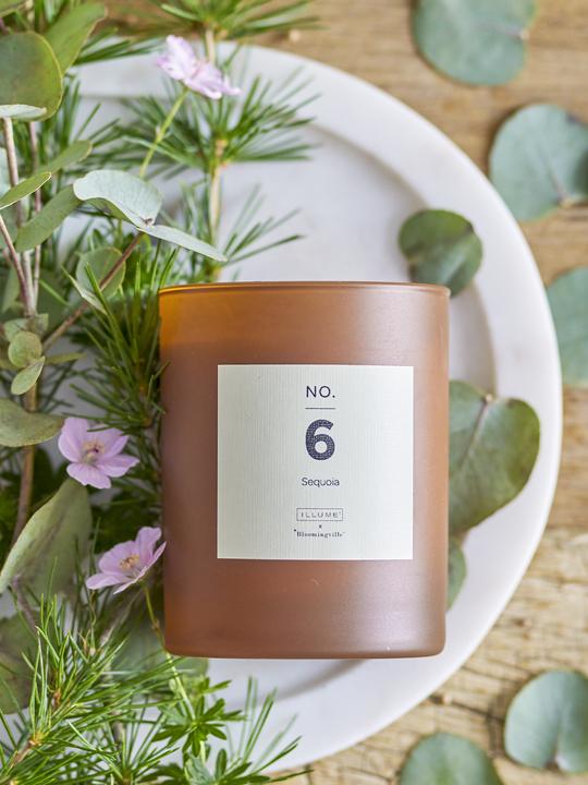 Actual product image Illume x Bloomingville NO. 6 - Sequoia (210 g)