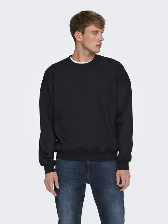 Image du produit Only & Sons Onsturner Life Vtg Crew Neck Sweat Noos (M)