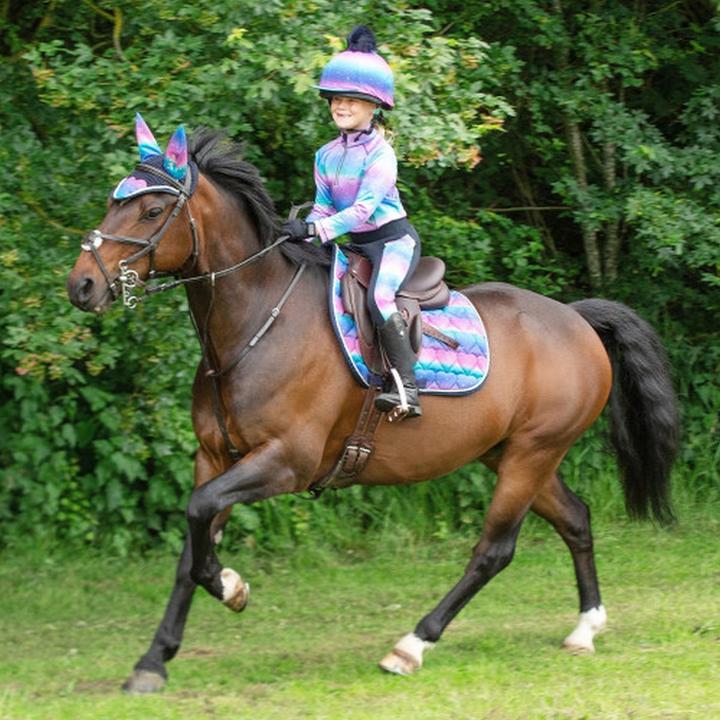 Immagine prodotto Hy Equestrian Leggings dazzling Night Riding Girls (158, 164)