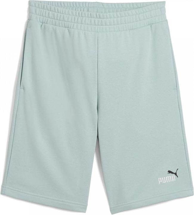Image du produit Puma ESS 2 COLOR No. 1 Logo Shorts 10" TR (M)