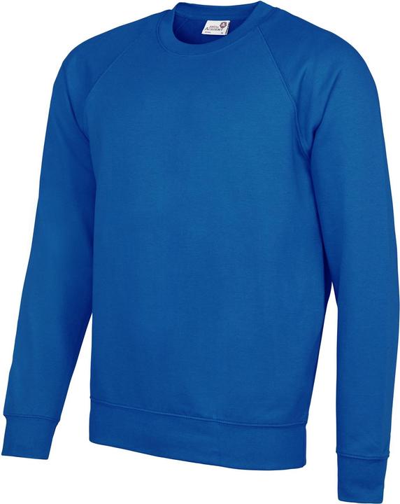 Awdis Academy RundhalsSweatshirt