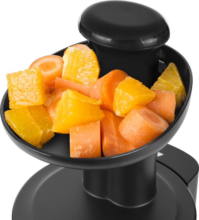 Image du produit Tristar Slow-Entsafter (Prise UE)