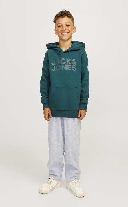 Immagine prodotto Jack & Jones Jjecorp Logo Cappuccio Sudore Noos Jnr (164)