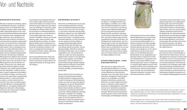Produktbild Fermentation (Deutsch, Thomas, Antoniewicz, Heiko/Ruhl, 2021)