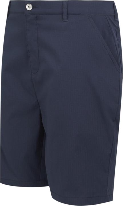 Actual product image Regatta Mens Dalry Multi Pocket Shorts (44)