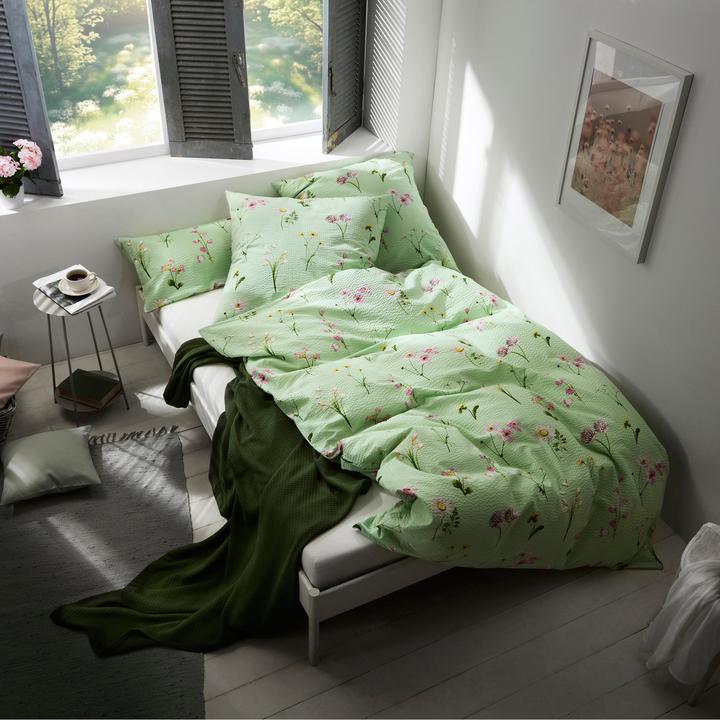 Image du produit Erwin Müller Bettwäsche (Housse de couette, 155x200 cm + 80x80 cm)