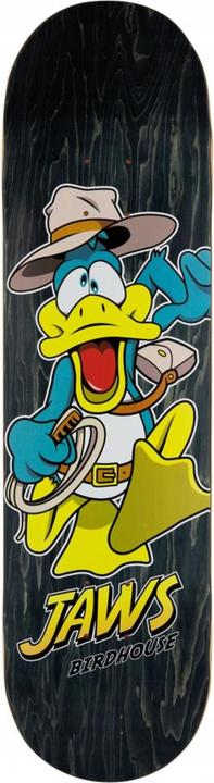 Birdhouse Duck Jones (8.38")