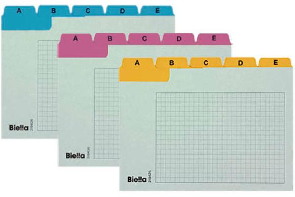 Produktbild Biella Kartei-Leitkarten A6 (A6, 450 g/m², 25 x)