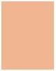 Produktbild Shiseido Total Radiance Foundation (N3 Neutral)
