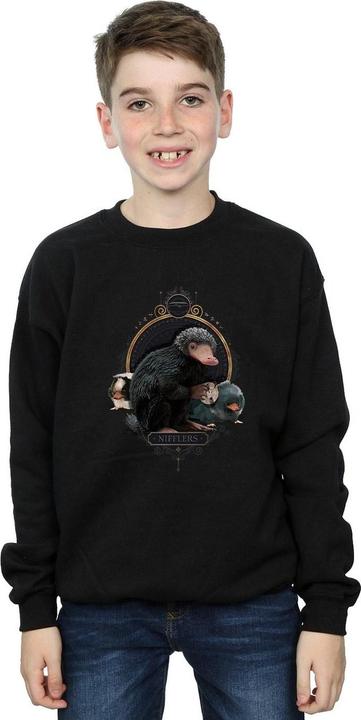 Actual product image Fantastic Beasts Boys Baby Nifflers Sweatshirt (152, 158)