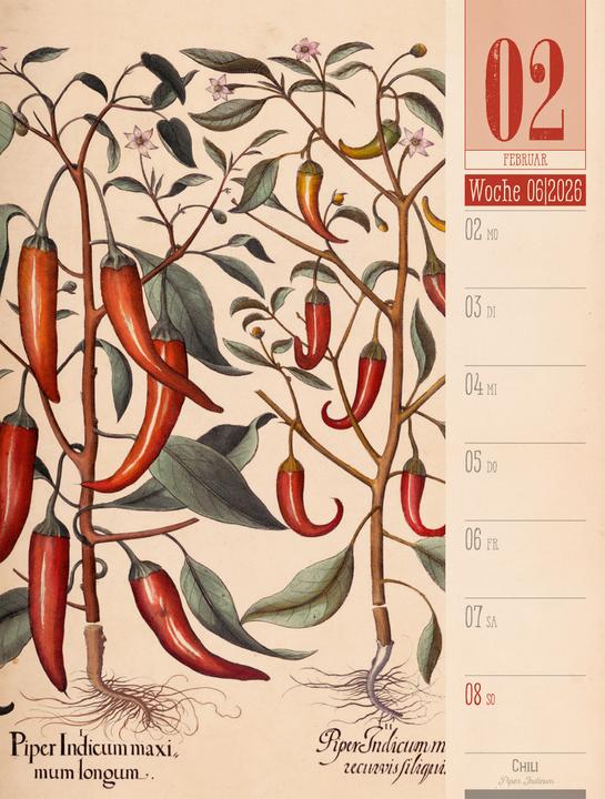 Produktbild Culinarium - Küche, Kräuter, Kurioses - Vintage Wochenplaner Kalender 2026 (25 x 33 cm, Harter Einband, Deutsch)