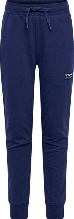 Actual product image hummel hmlEDDY PANTS (146)