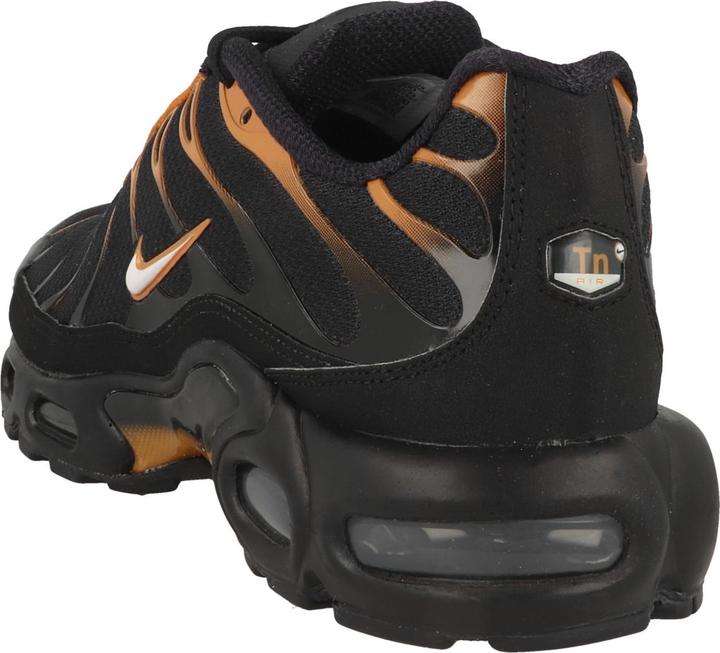 Image du produit Nike Air Max Plus - 63311 (40.5)