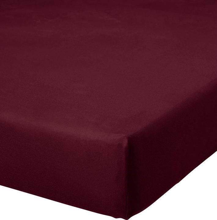 Aubergine
