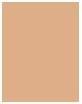 Immagine prodotto Shiseido Synchro Skin Self Refreshing Powder Fond de Teint No 240 (240 Quarzo)