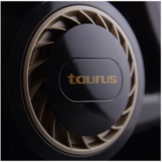 Actual product image Taurus Homeland Endless