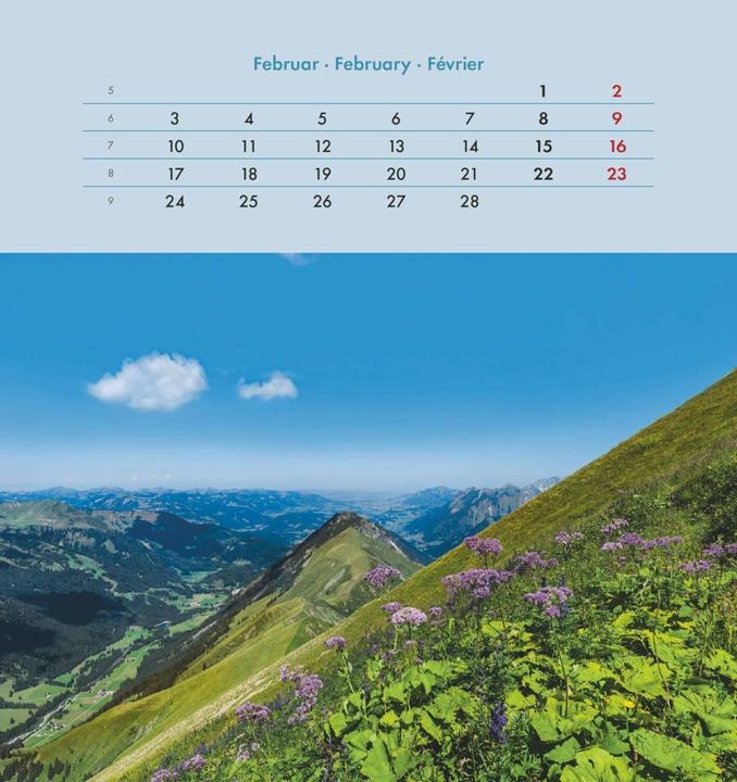 Immagine prodotto Alpha Edition Calendario con cartoline per l'anima 2025, 16x17cm, calendario con cartoline per (16 x 17 cm, Copertina rigida, Tedesco)