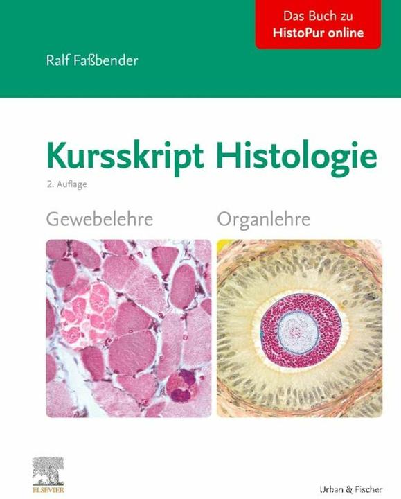 Immagine prodotto Fassbender:Testo del corso di istologia (Tedesco, Ralf Fassbender, 2024)