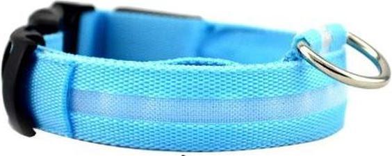 Immagine prodotto MU Classic Collare luminoso per cani della serie Maiko (Cane, Sport cane)