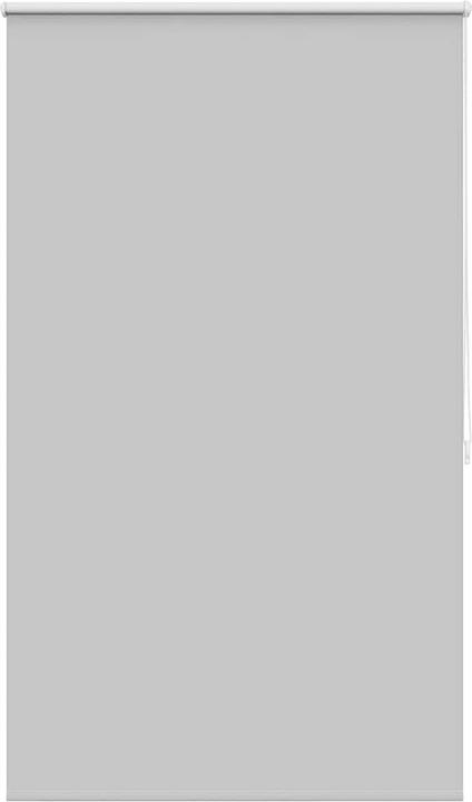 Gris