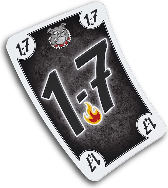 Actual product image Schmidt Spiele Black DOG (German)