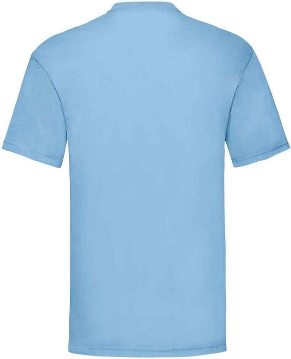 Actual product image Fruit of the Loom Mens Valueweight T-Shirt (L)