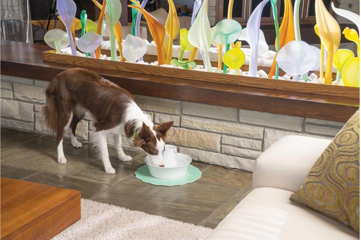 Produktbild Drinkwell PetSafe Avalon (2 l)