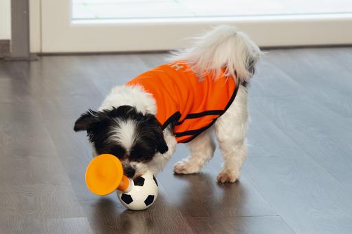 Image du produit Beeztees Bz Holland Lufthorn HD Jeu 2 (Jouet à mâcher pour chien)