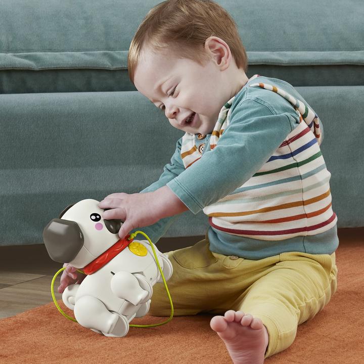 Actual product image Fisher-Price play & pull pug