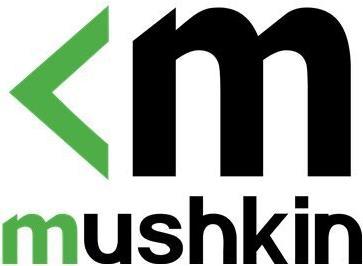 Produktbild Mushkin DDR5 32GB PC 4800 CL40 1,1V Redline single intern retail (1 x 32GB, 4800 MHz, DDR5-RAM, DIMM)