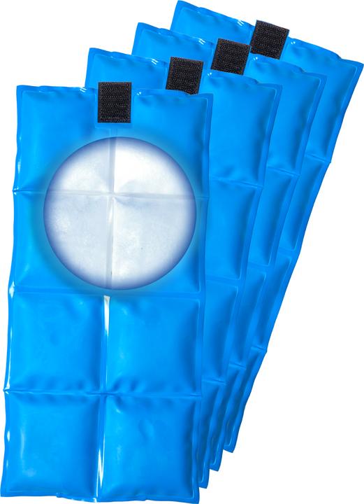 Image du produit Bertschat Gilet Rafraîchissant à Eléments MCP PRO (20)