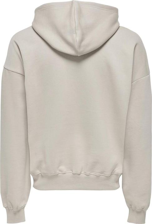 Immagine prodotto Only & Sons Onsturner Life Vtg Hoodie Sweat (XS)