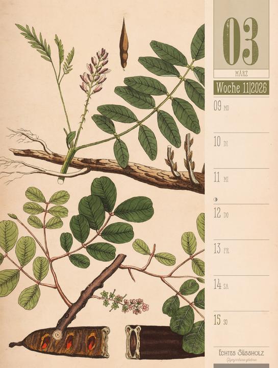 Produktbild Culinarium - Küche, Kräuter, Kurioses - Vintage Wochenplaner Kalender 2026 (25 x 33 cm, Harter Einband, Deutsch)