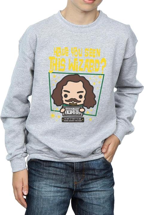 Produktbild Sirius Black Azkaban Junior Sweatshirt Jungen (152, 158)