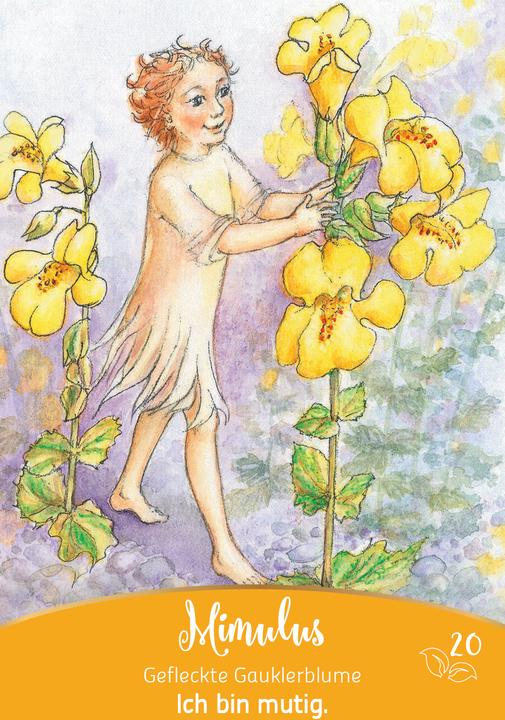 Produktbild Bachblüten-Botschaften - Wie die Seelenpflanzen dir helfen (Deutsch, Irene Drexler, 2024)