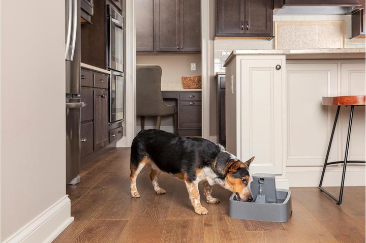 Image du produit Sportdog Drinkwell 3.7 Litre Pet Fountain - Adaptateur EU (3.70 l)