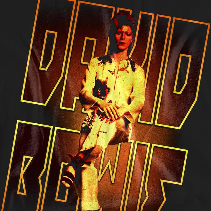 Produktbild David Bowie Perched TShirt (XL)