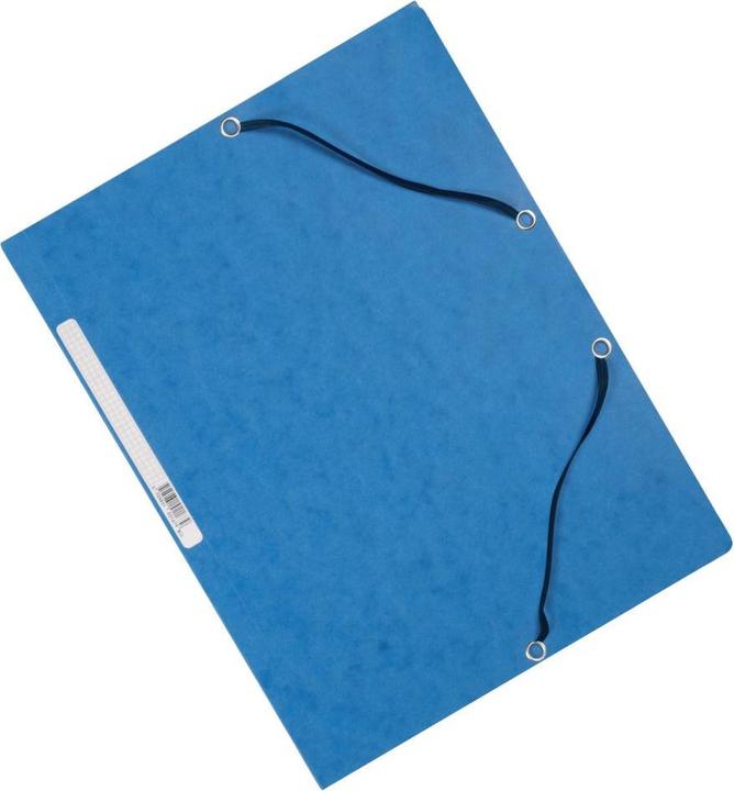 Q-Connect Carton collecteur de fichiers (A4, 1 x)
