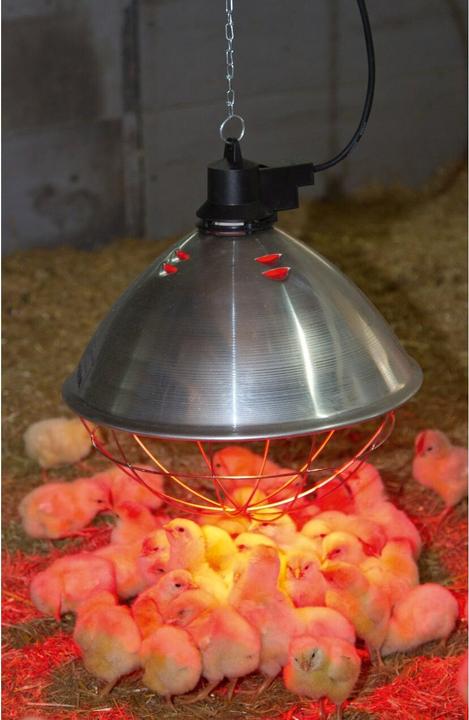 Actual product image Kerbl Infra-red radiant warmer (250 W)