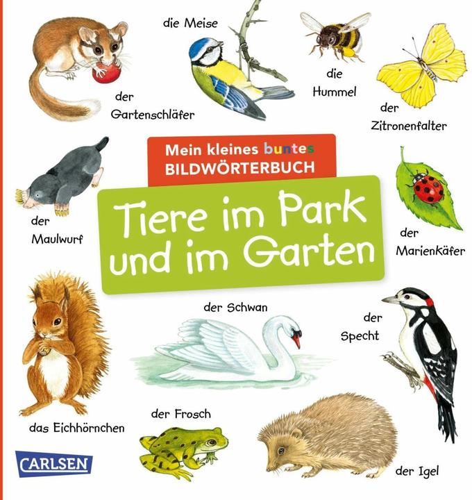 Produktbild Mein kleines buntes Bildwörterbuch: Tiere im Park und im Garten (Deutsch, Christine Henkel, 2024)