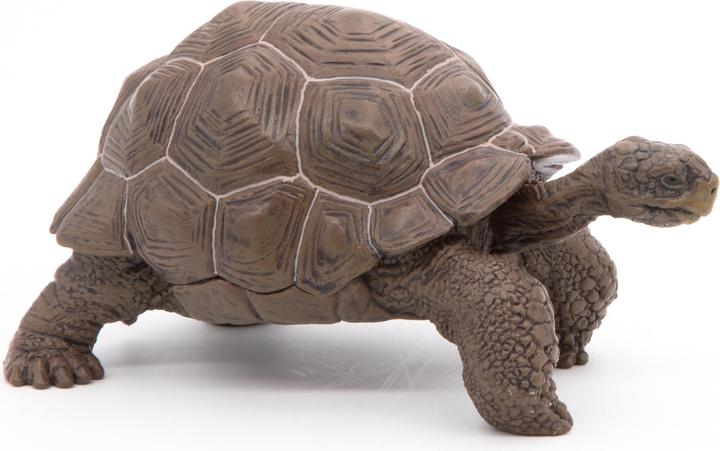 Produktbild Papo Galápagos-Riesenschildkröte