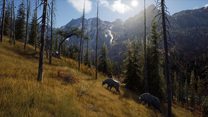 Actual product image THQ Way of the Hunter (Xbox Series X, FR, EN)