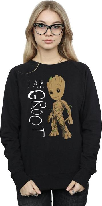 Immagine prodotto Guardians Of The Galaxy I Am Groot Scribbles Felpa Donna (M)
