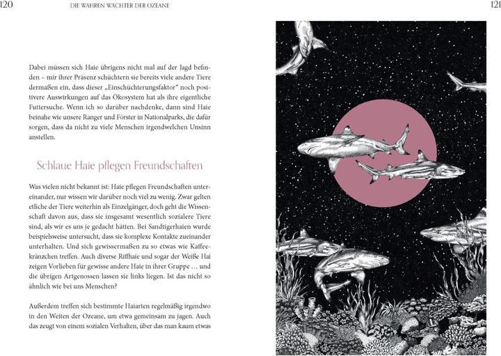 Produktbild Faszination Haie - Wächter der Meere (Deutsch, Michael Stavaric, Michèle Ganser, 2024)