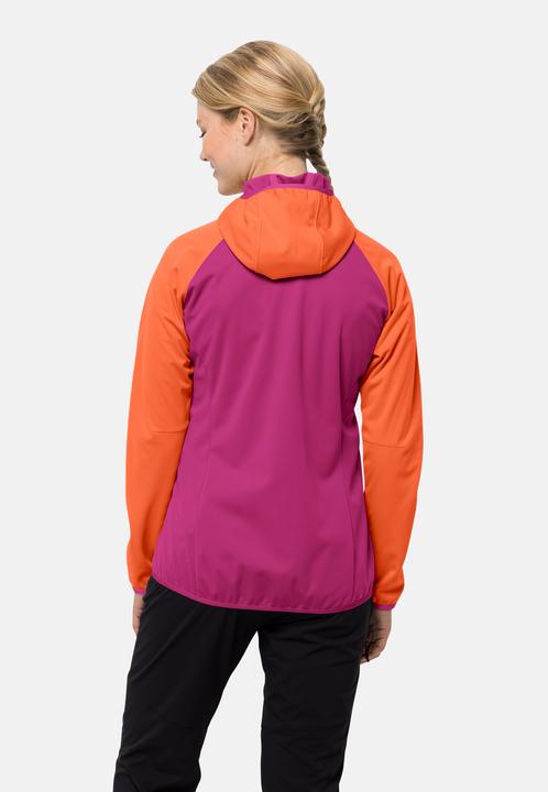 Produktbild Jack Wolfskin Go Hike Softshell W (XS)