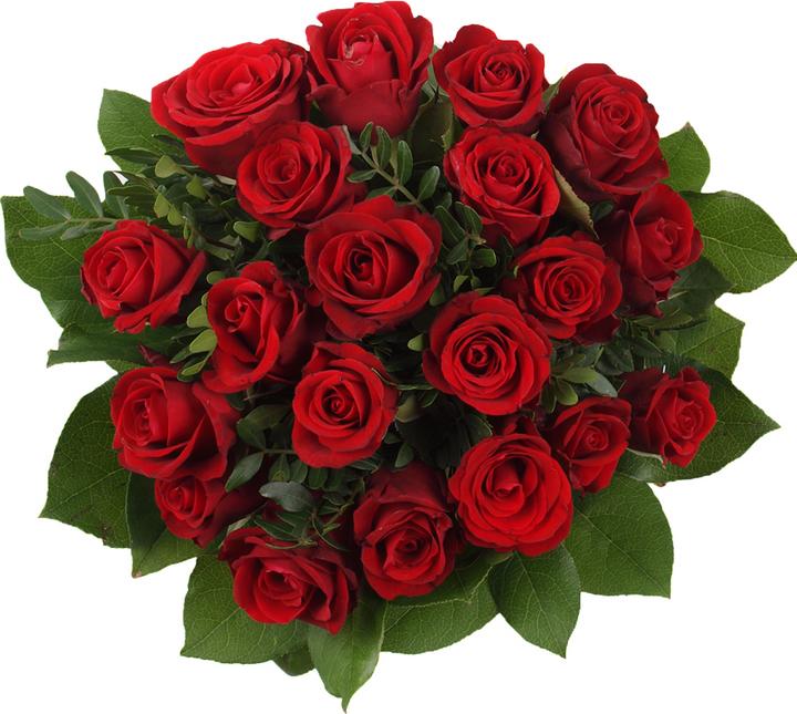 Produktbild Floramall 20 rote Rosen (Schnittblumen)
