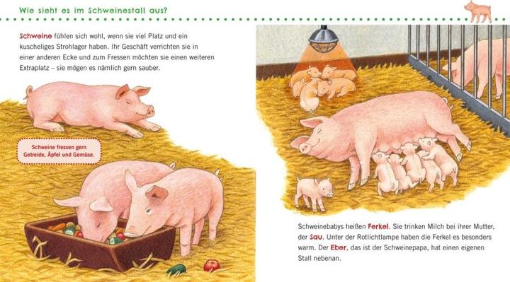 Immagine prodotto Unkaputtbar: Erstes Wissen: Unser Bauernhof (Tedesco, Petra Klose, 2022)