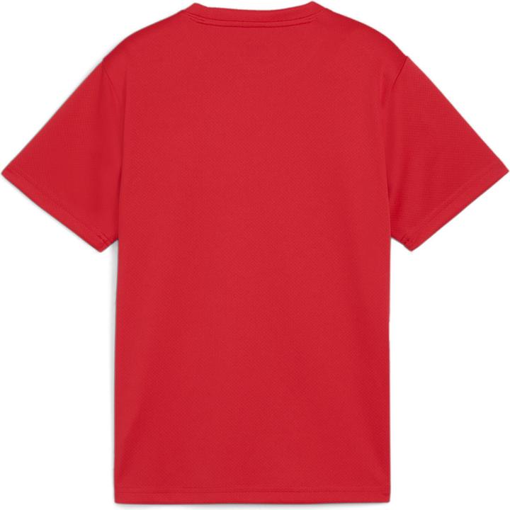 Immagine prodotto Puma Maglia TeamGOAL Jr (128)