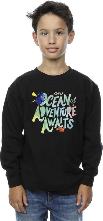 Actual product image Disney Boys Finding Dory Ocean Of Adventure Sweatshirt (116)